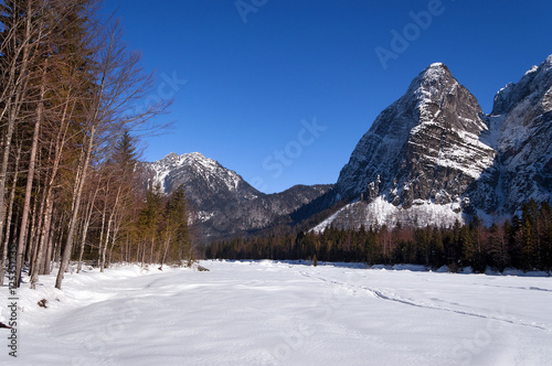 Julian Alps in winter in Val Saisera  Saisera Valley  Tarvisio  Friuli Venezia Giulia  Italy