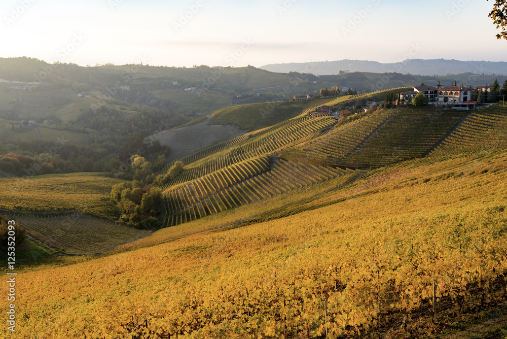 Naklejka premium Langa autunnale