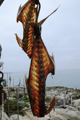  Fish bones hanging photo