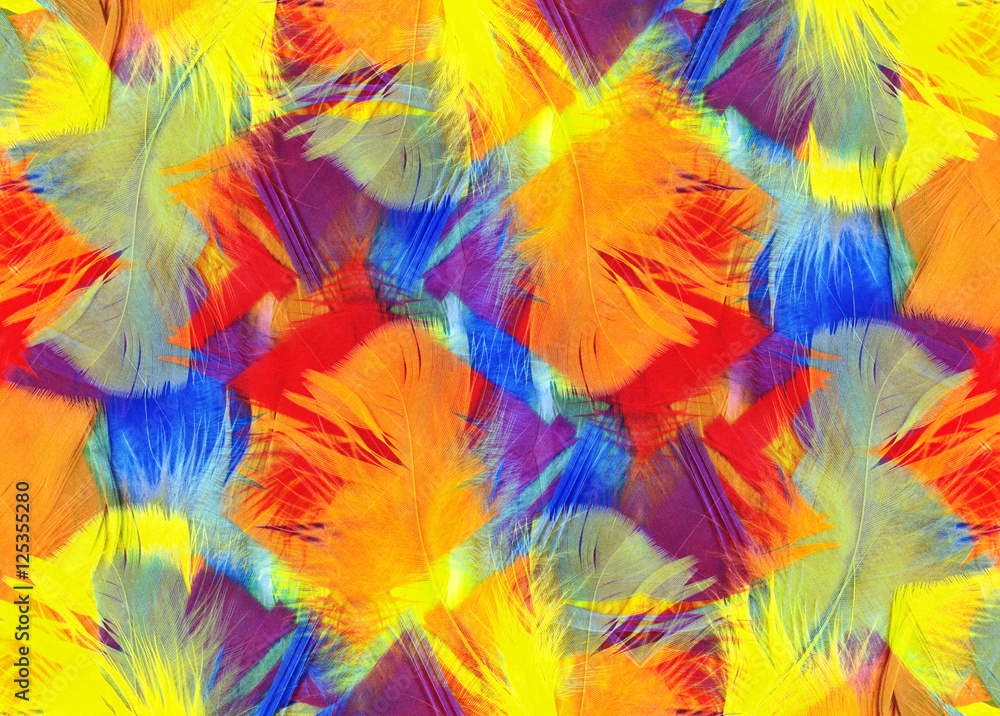 Multi coloured abstract feathers background