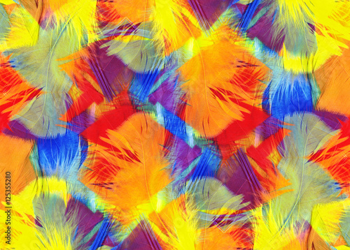 Multi coloured abstract feathers background
