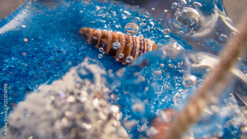 seabed