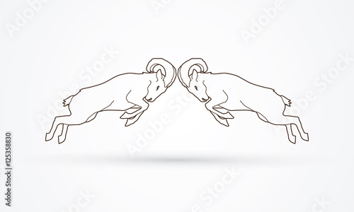 Ibexes fighting outline graphic vector.