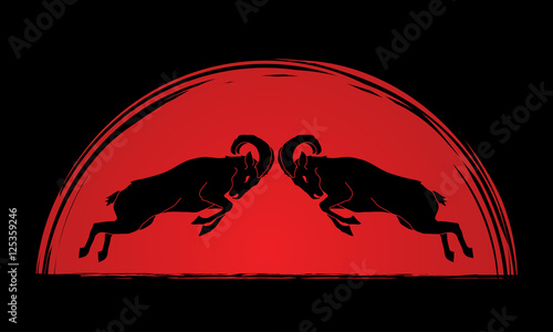 Ibexes fighting designed on sunset background graphic vector.