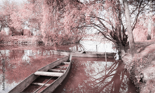 Parque do carreiro fundo, no lugar do pinheiro amarelo,Aveiro, Portugal. photo