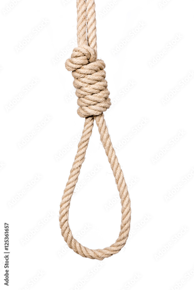 Bankrupt concept. Hangman's noose isolated on a white background, a symbol of death. Bankrupt concept. Hangman's noose isolated on a white background, a symbol of death.