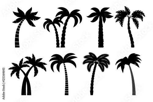 Palm tree black set. Vector drawing palma trees silhouettes isolated on white background design