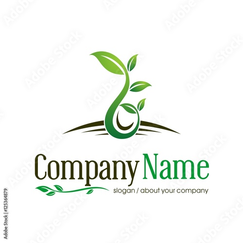leaf vector logo