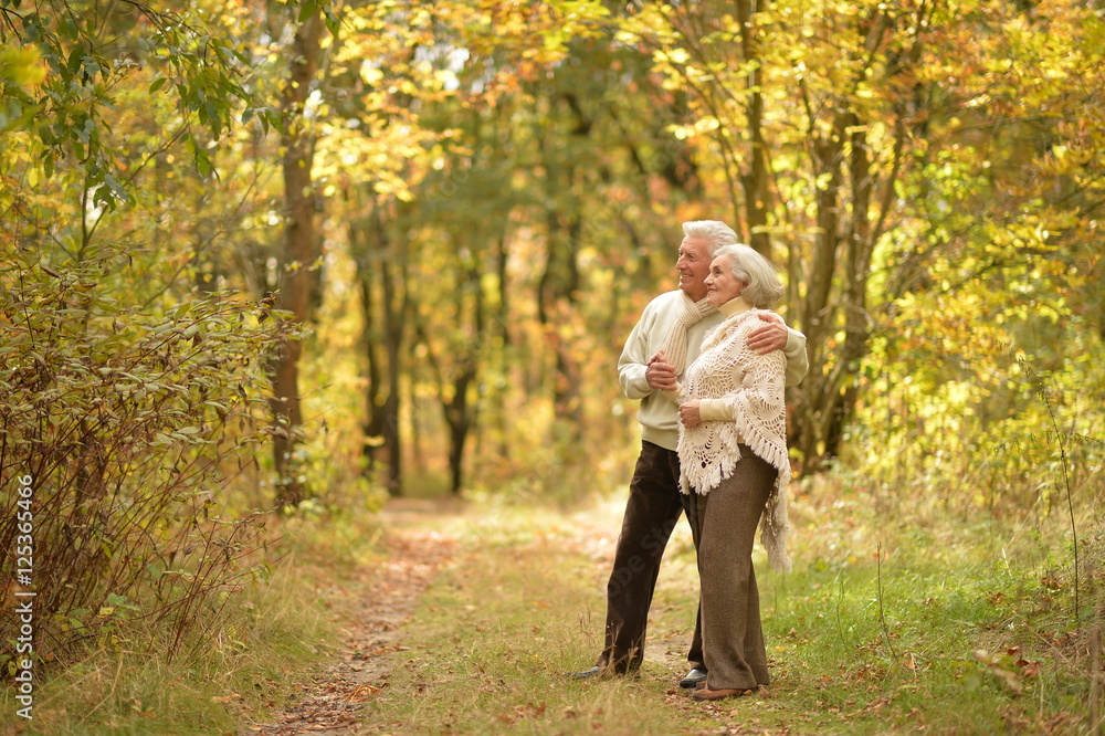 Beautiful elderly couple walking in the autumn park Beautiful elderly couple walking in the autumn park