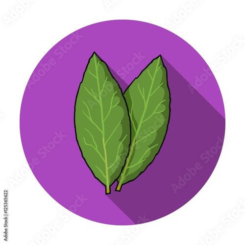 Laurus icon in flat style isolated on white background. Herb an spices symbol stock vector illustration.