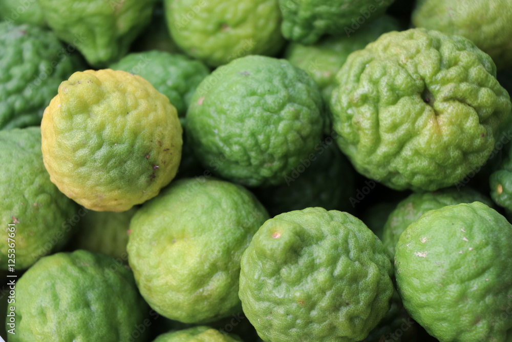 Green bergamot with out leave from the farm Green bergamot with out leave from the farm