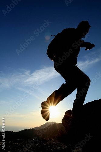 Wallpaper Mural running up a hill Torontodigital.ca