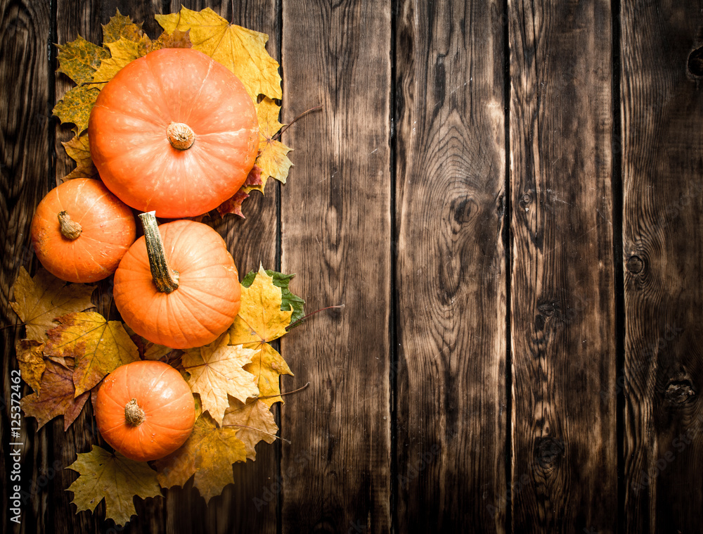 utumn harvest. Pumpkin with autumn leaves. Stock Photo | Adobe Stock