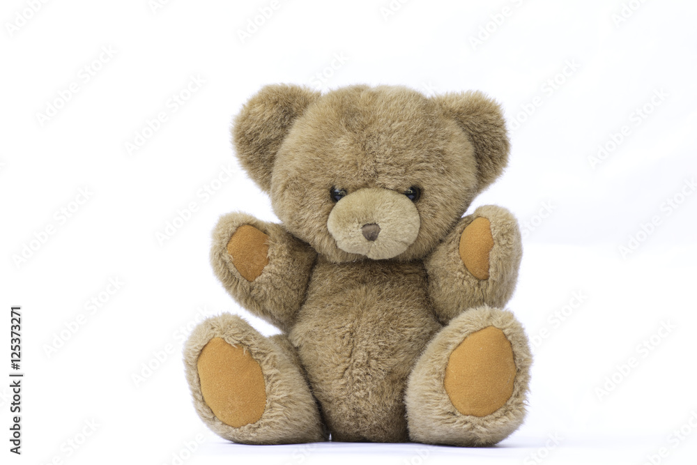 Obraz premium Brown teddy bear on white background.