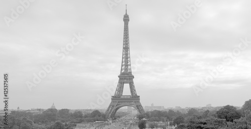 Eiffel Tower #125375615