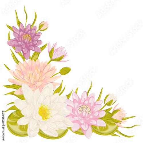 Water lily set. Collection decorative design elements for wedding invitations and birthday cards. Flowers  leaves and buds. Vintage hand drawn vector illustration in watercolor style.