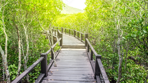 The wooden bridge among beautiful green forest to sunlight