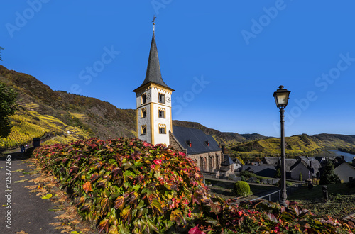 Kirche in Bremm mit Blick auf die Moselschelife, leuchtenden Herbstfarben