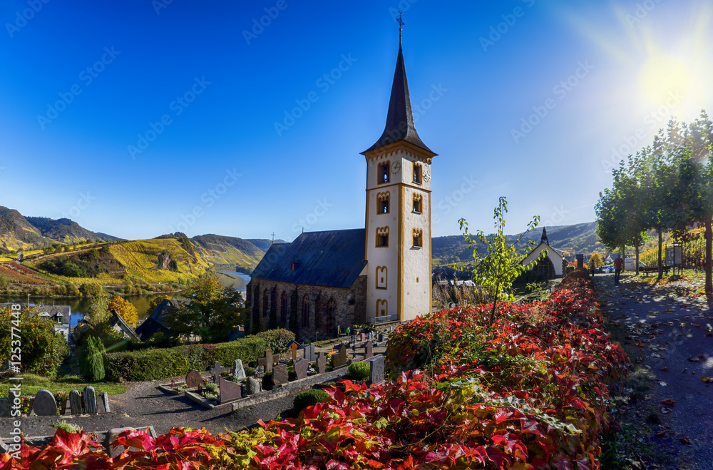Kirche in Bremm mit Blick auf die Moselschelife, leuchtenden Herbstfarben