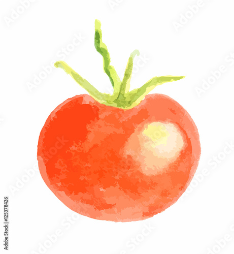 Isolated watercolor tomato on white background. Healthy and ripe fresh vegetable for cooking and decoration.