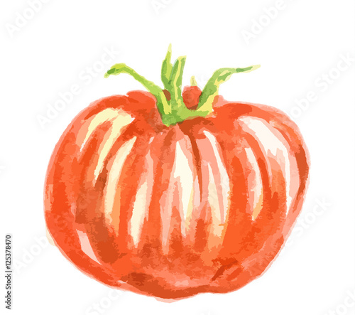 Isolated watercolor tomato on white background. Healthy and ripe fresh vegetable for cooking and decoration.