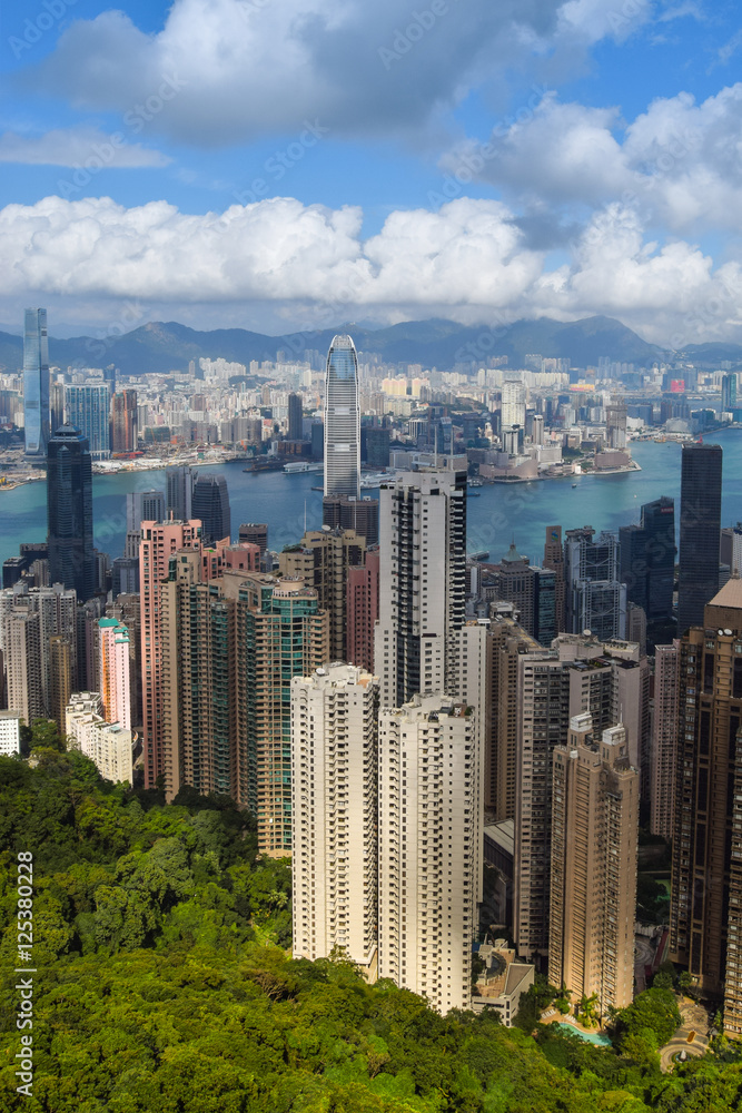 Fototapeta premium metropolis in good weather