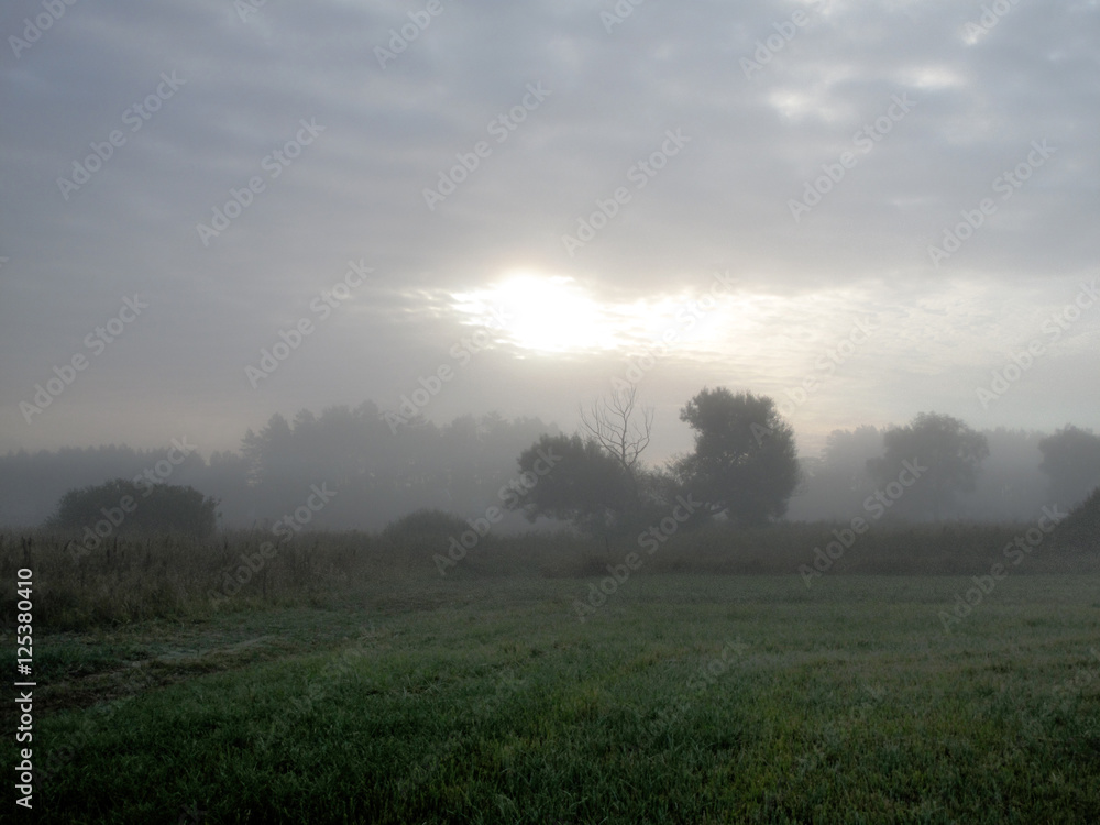 Туман. Красивый луг, когда утренний туман спадает на землю. Всюду утренняя прохлада. На траве роса. Вот - вот взойдёт солнце.
