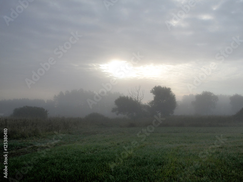 Туман. Красивый луг, когда утренний туман спадает на землю. Всюду утренняя прохлада. На траве роса. Вот - вот взойдёт солнце.