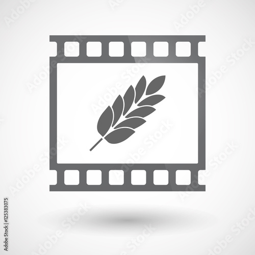 Isolated 35mm film frame slide photogram with  a wheat plant ico