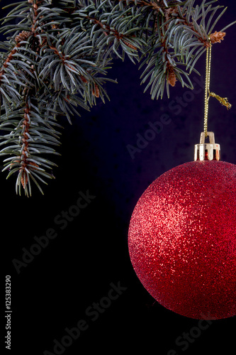Christmas ball on fir branch on a black background