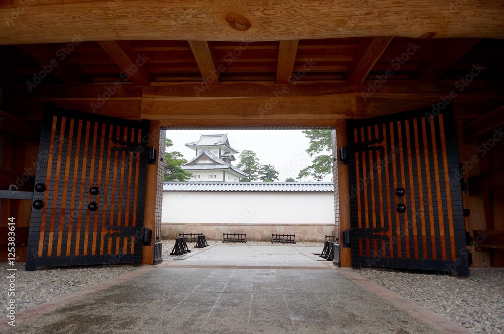 Obraz premium The fortress