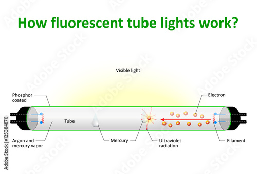 How fluorescent tube lights work
