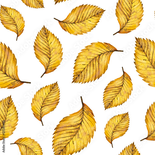 Watercolor seamless pattern autumn yellow leaves of elm, hand painted watercolour autumn background of falling leaf, design for fabric, textile, wrapping paper, card, invitation, wallpaper, web design