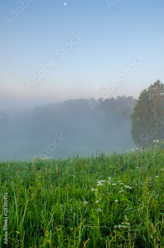 thick morning fog in the summer forest
