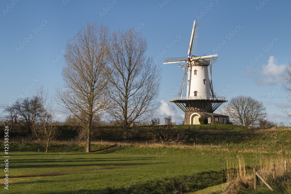 White windmill in Veere 2
