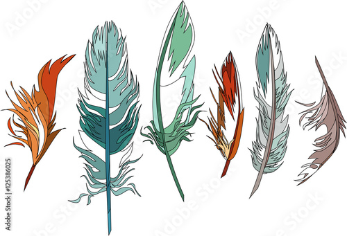 Cute colored graphic feathers set. hand drawn vector illustration. boho theme elements