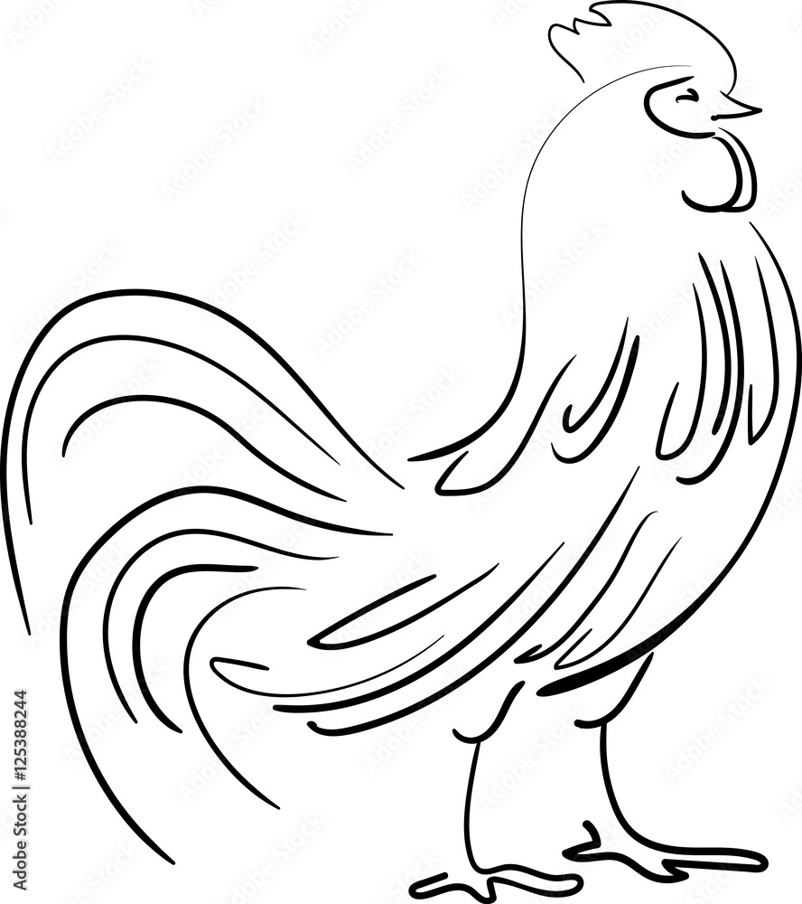 Beautiful hand drawn graphic rooster. New Year symbol. Vector line illustration in sketch style. Beautiful hand drawn graphic rooster. New Year symbol. Vector line illustration in sketch style.
