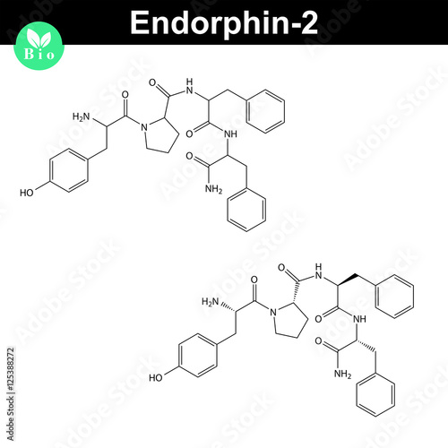 Human endomorphin-2 chemical structure