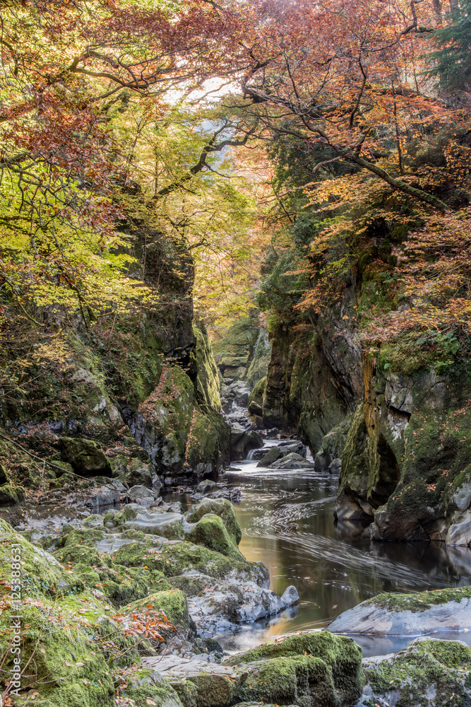 Fairy Glen Fairy Glen