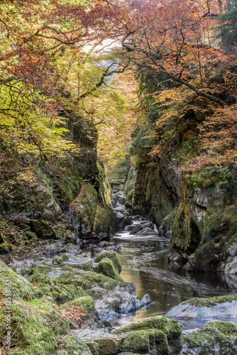 Fairy Glen