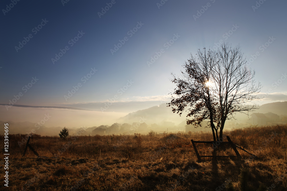 sunrise with fog at autumn