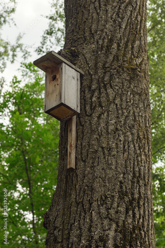 birdhouse on a tree trunk in a summer park birdhouse on a tree trunk in a summer park