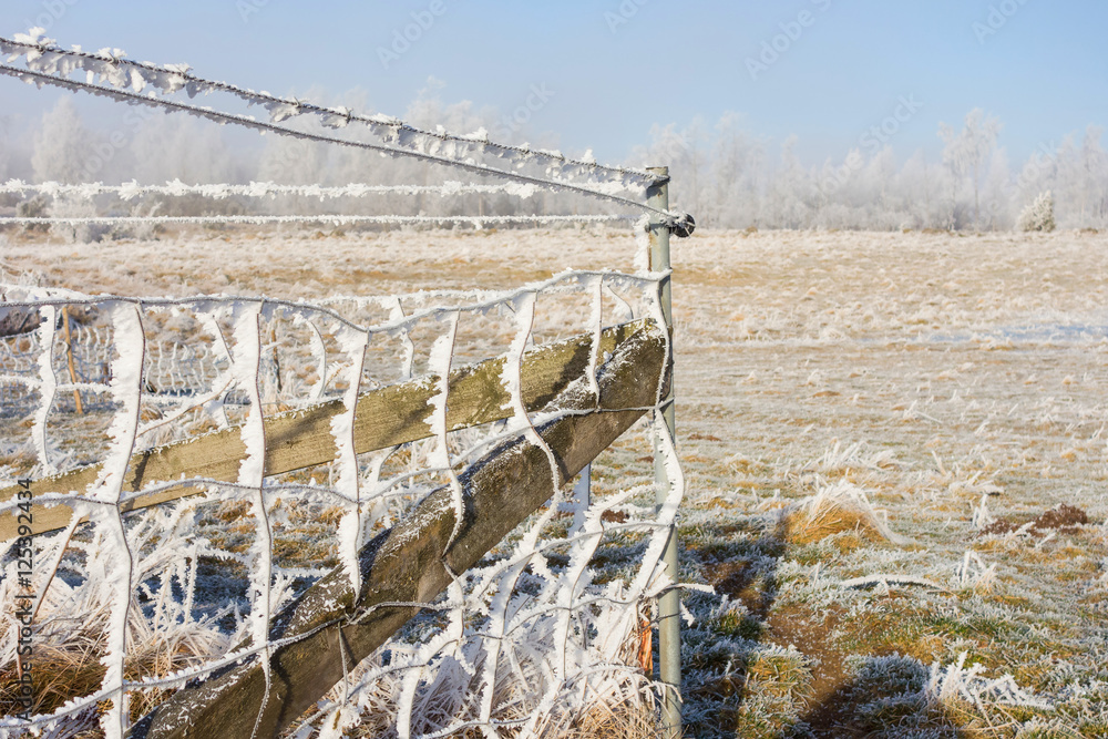 Fototapeta premium Chain link fencing