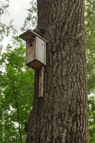 birdhouse on a tree trunk in a summer park