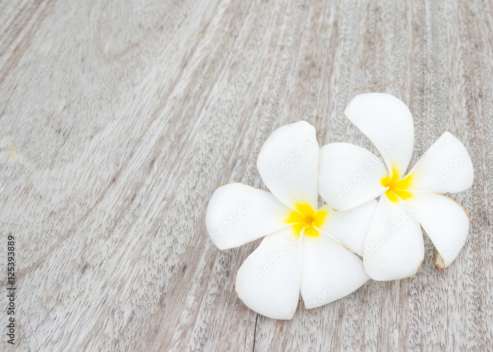 Tropical flowers frangipani on the wood background Tropical flowers frangipani on the wood background