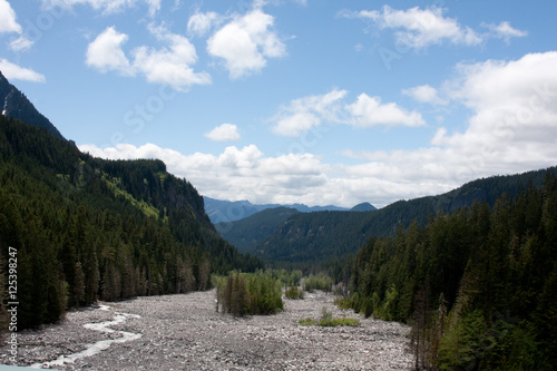 Mount Rainier National Park View
