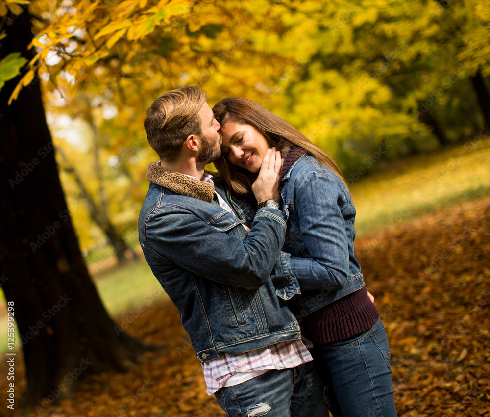 Loving couple in autumn park Loving couple in autumn park