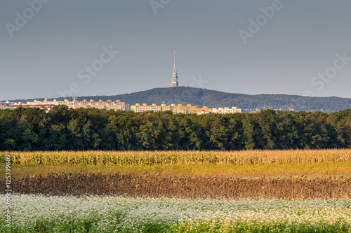 Bratislava Kamzik photo