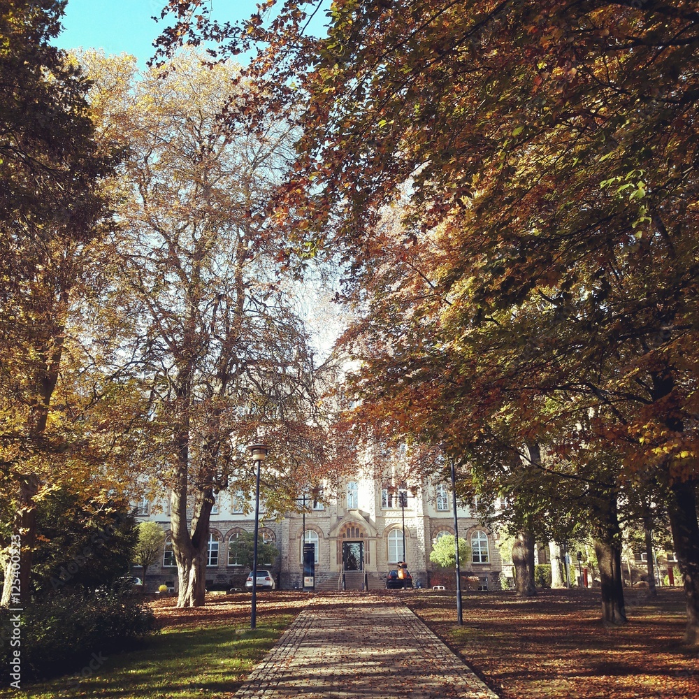 Fall in the campus of university of luxembourg