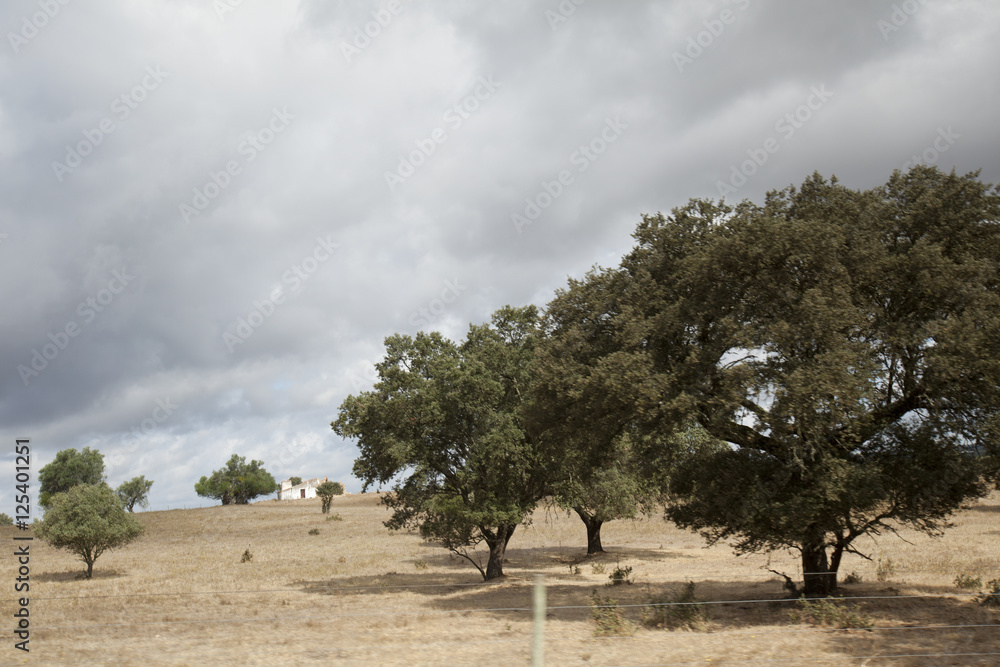 Landescape of Alentejo
